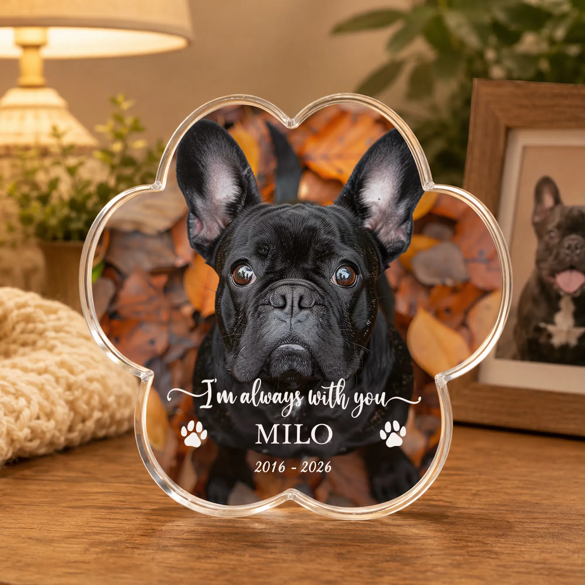 Personalized Pet Photo Paw Print Shaped Acrylic Plaque with Name and Date Home Decor Pet Memorial Anniversary Gift for Pet Owners Family