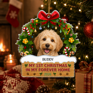 Custom Photo My 1st Christmas In My Forever Home - Personalized Custom Shaped Acrylic Ornament